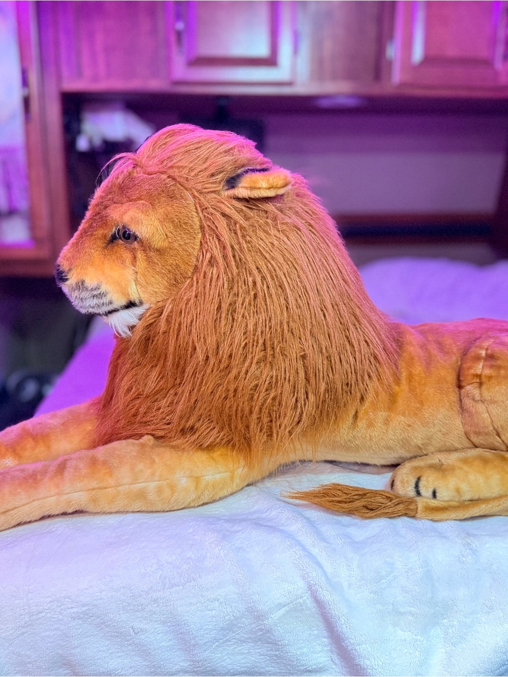 Melissa & Doug Plush Lion Toy - Brown and Cream Mane human size 4ft. - Picture 14 of 16